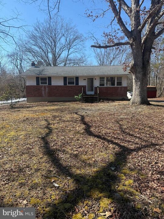 111 Watsons Mill Rd in Elmer, NJ - Building Photo