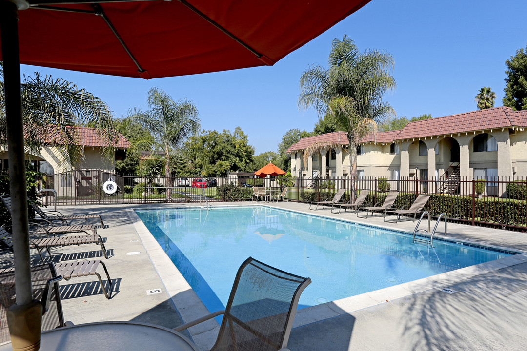 Shadow Mountain Apartments in La Verne, CA - Building Photo