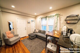 3 Alleghany St in Boston, MA - Foto de edificio - Building Photo