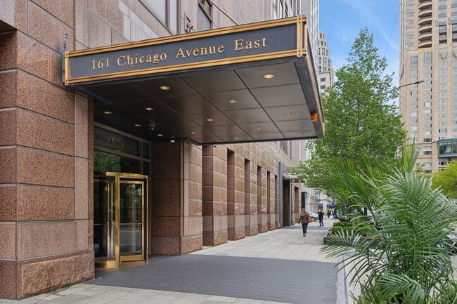 161 E Chicago Ave in Chicago, IL - Building Photo - Building Photo