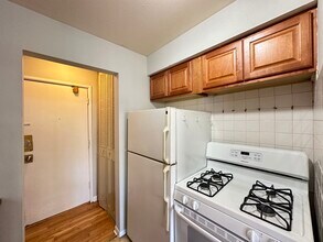 513 W Briar Pl in Chicago, IL - Building Photo - Building Photo