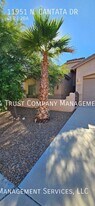 11951 N Cantata Dr in Oro Valley, AZ - Building Photo