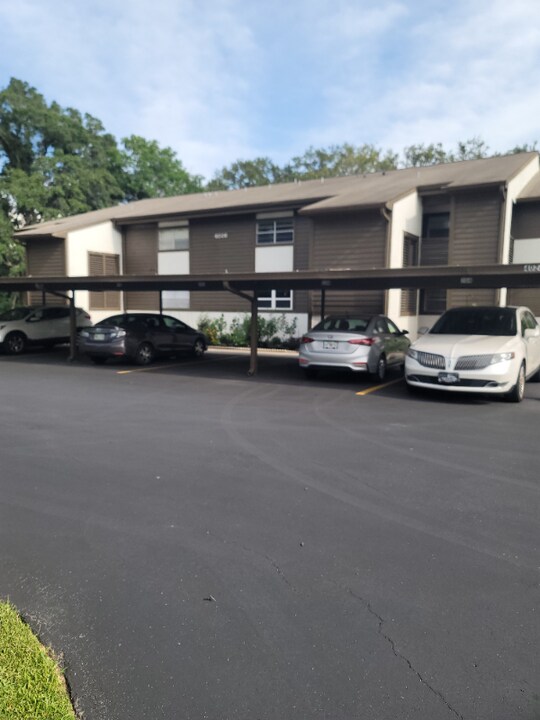4026 Passport Ln in New Port Richey, FL - Building Photo