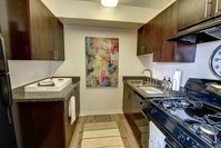 Larrge galley kitchen with gas stove and luxurious finishes - Overlook at Mile High Apartamentos in Denver, Colorado