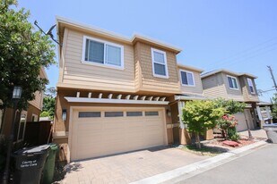 711 Paula Terrace in San Jose, CA - Building Photo