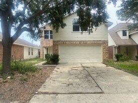 19110 Yellow Thrush Dr in Cypress, TX - Building Photo