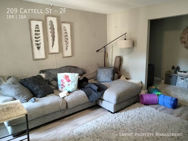 209 Cattell St in Easton, PA - Building Photo - Building Photo