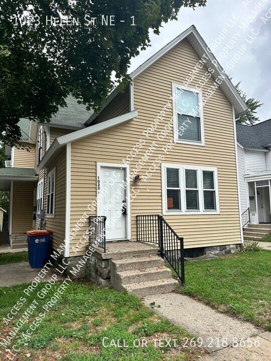 1023 Helen St NE in Grand Rapids, MI - Building Photo