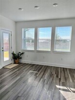 1711 Winding Talley St in Pflugerville, TX - Building Photo