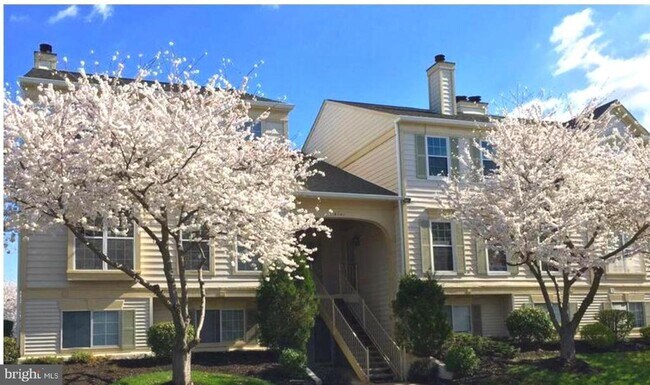 8141 Bayonet Way in Manassas, VA - Building Photo - Building Photo