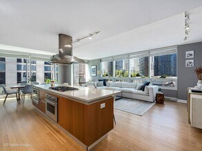340 E Randolph St, Unit 506 in Chicago, IL - Foto de edificio - Building Photo