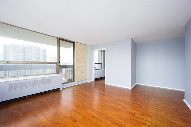 1460 N Sandburg Terrace in Chicago, IL - Building Photo - Building Photo