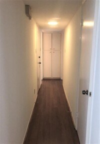 4645 Wild Indigo St photo'