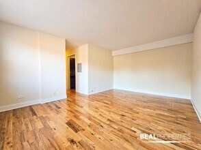 555 W Arlington Pl in Chicago, IL - Building Photo - Building Photo