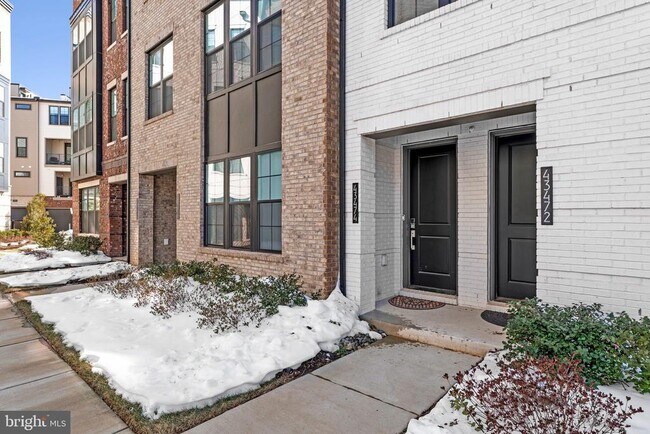 43474 Danville Ter in Ashburn, VA - Building Photo - Building Photo