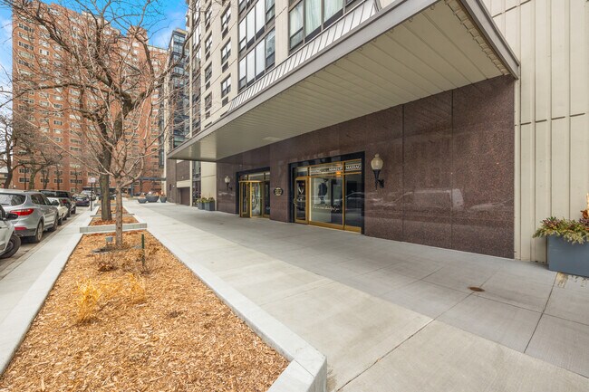 1313 N Ritchie Ct in Chicago, IL - Building Photo - Building Photo