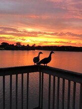 6225 Pine Dr in Lake Worth Beach, FL - Building Photo - Building Photo