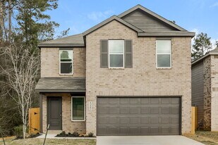 13487 Sonali Springs Dr in Conroe, TX - Building Photo
