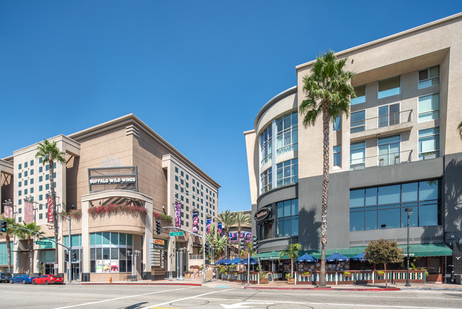 The Burbank Collection