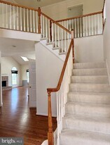 43520 Lucketts Bridge Cir in Ashburn, VA - Building Photo