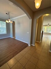 559 Hiawatha Palm Pl in Apopka, FL - Building Photo - Building Photo