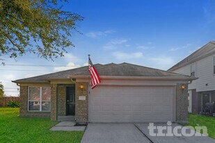 11010 Vanilla Ridge Ct in Houston, TX - Building Photo