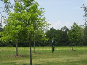 Shellbrooke Pointe Apartments in Fairhope, AL - Building Photo - Building Photo