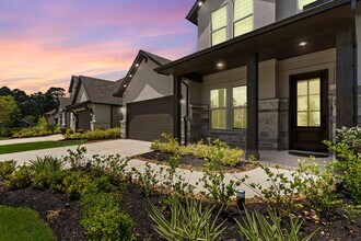 316 Coldwater Creek Ct in Conroe, TX - Building Photo - Building Photo