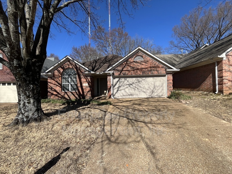 1043 Nolan Ln in Cordova, TN - Building Photo