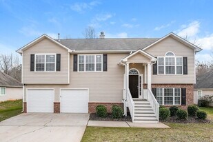 293 Grover Turner Way in Mcdonough, GA - Building Photo
