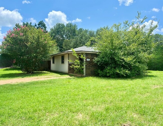 201 2nd Ave in Smithville, TX - Building Photo - Building Photo