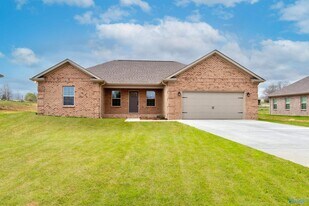 27715 Salem Minor Hill Rd in Lester, AL - Building Photo