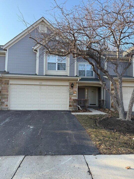 160 Crescent Ln in Schaumburg, IL - Building Photo