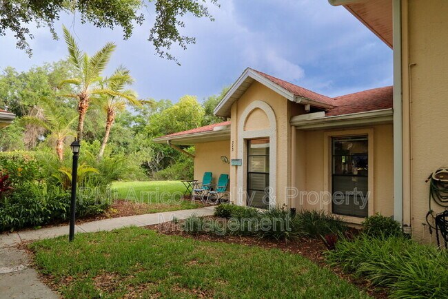 323 Knottwood Ct in Sun City Center, FL - Building Photo - Building Photo