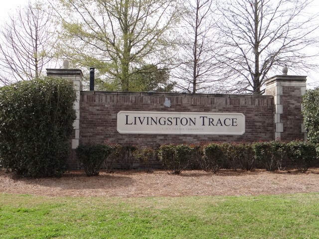 26222 Avoyelles Ave in Denham Springs, LA - Building Photo
