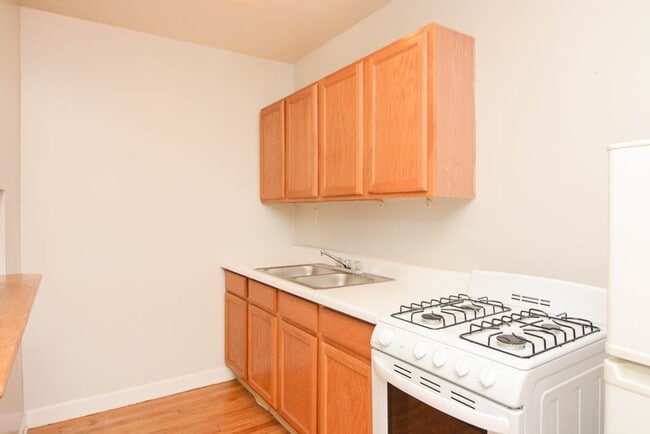 1055 W George in Chicago, IL - Building Photo - Building Photo