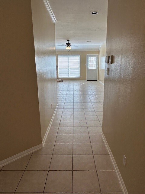 19711 Morning Glory Terrace Ct in Cypress, TX - Building Photo - Building Photo