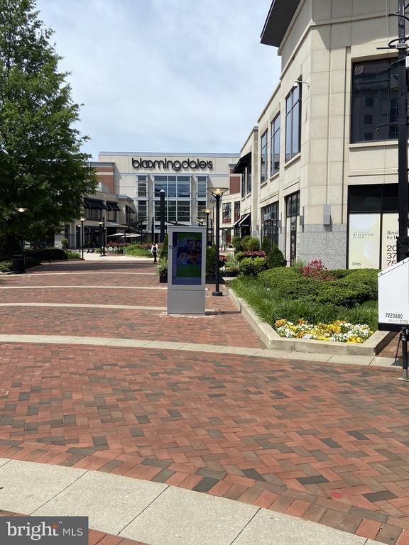 4601 N Park Ave in Chevy Chase, MD - Building Photo - Building Photo