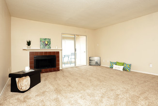 Newport Apartments in Mesquite, TX - Building Photo - Interior Photo