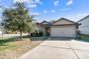 15502 Gray Catbird in San Antonio, TX - Building Photo