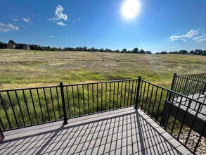 4355 Cyan Cir in Castle Rock, CO - Building Photo - Building Photo