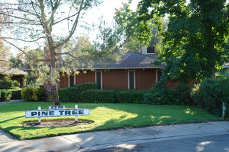 Pine Tree in Sacramento, CA - Building Photo - Building Photo