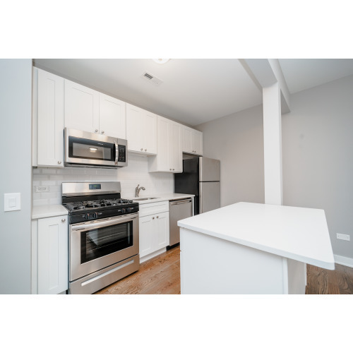 1838 W 21st Pl in Chicago, IL - Building Photo - Building Photo