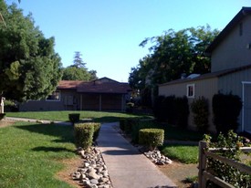 Shadetree North Apartments