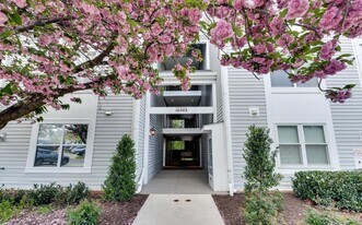 10003 Vanderbilt Cir in Rockville, MD - Building Photo