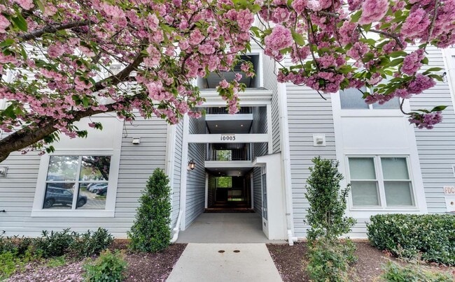 property at 10003 Vanderbilt Cir