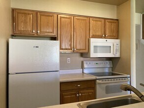 4505 N Carefree Cir in Colorado Springs, CO - Building Photo - Building Photo