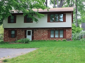 1123 Little Magothy View in Annapolis, MD - Building Photo