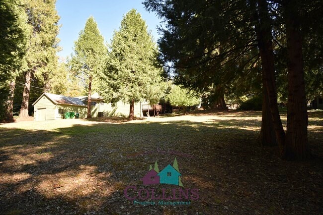 10879 Gold Flat Rd in Nevada City, CA - Building Photo - Building Photo