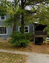 311 W Elm St in Carbondale, IL - Building Photo